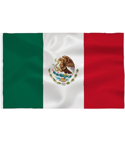 Amazon.com : Mosprovie Mexico Flag 4x6 Outdoor Double Sided- Heavy